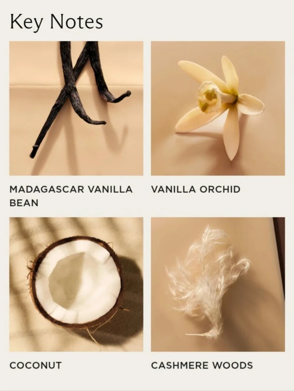 NEST Fragrances notes madagascar